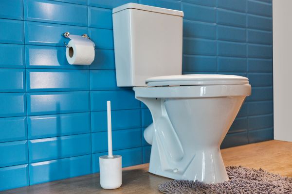 Cost of Toilet Tank Repair in Plant City